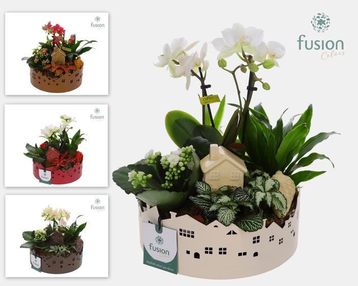 <h4>Zinken schaal Huisjes Medium met arrangement</h4>