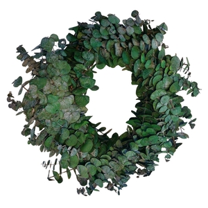 Preserved Wreath d35cm Eucalyptus Baby