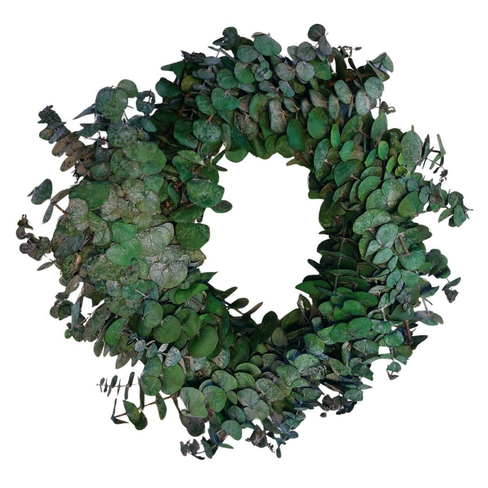 <h4>Preserved Wreath d35cm Eucalyptus Baby</h4>