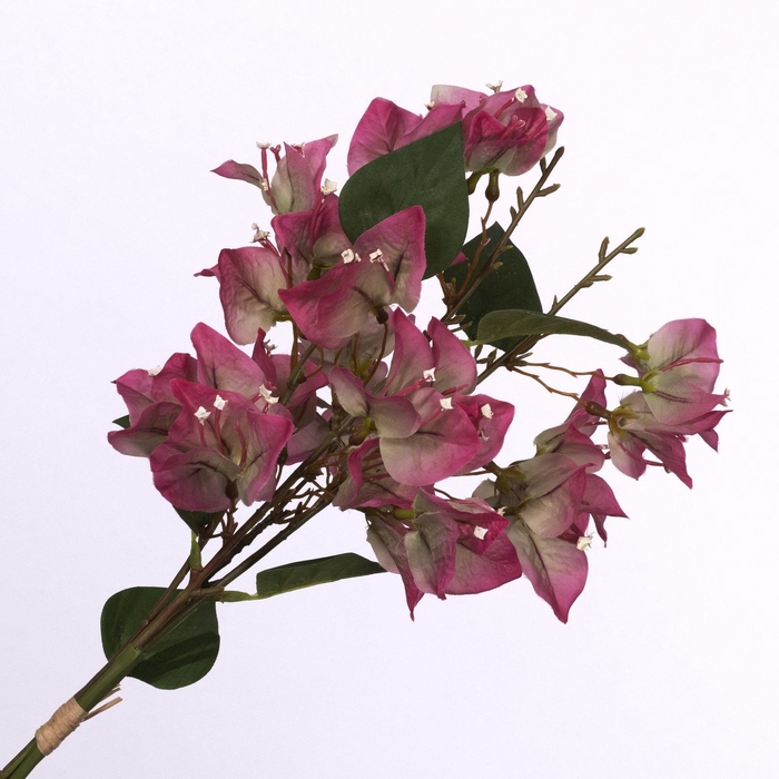<h4>Bougainvillea Bundle Pink BK770001PNK</h4>