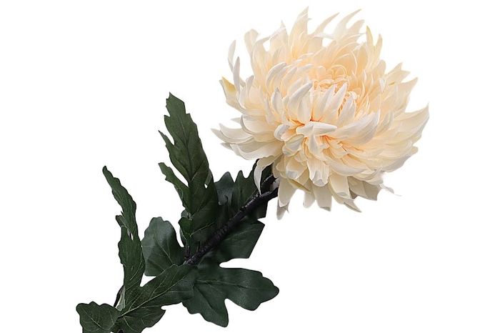 <h4>Chrysant Deco Light Apricot</h4>