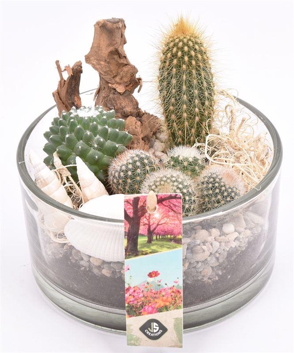 <h4>Glas schaal 15cm</h4>