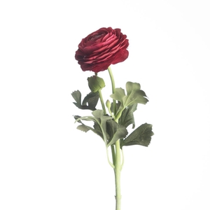 AF Ranunculus L51cm Beauty