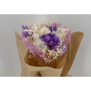 Dr Bqt Bleach Small Light Violet