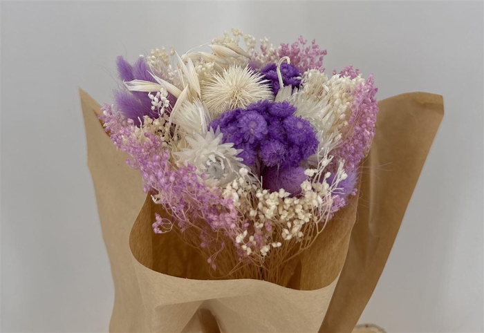 <h4>Dr Bqt Bleach Small Light Violet</h4>