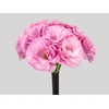 LISIANTHUS FLOR ROSA