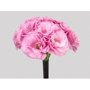 LISIANTHUS FLOR ROSA