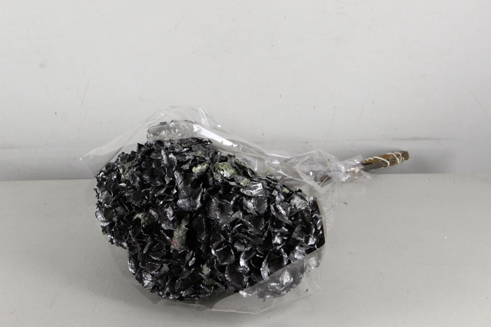 <h4>DF Hydrangea Metalic Black</h4>