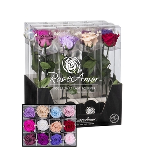 Display 30cm Stem Assorted Pastel