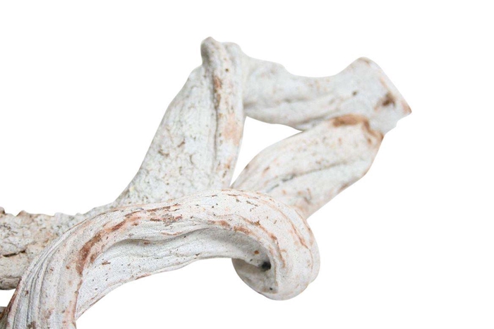 <h4>Cipo Rosca 100-120cm 6-7cm</h4>