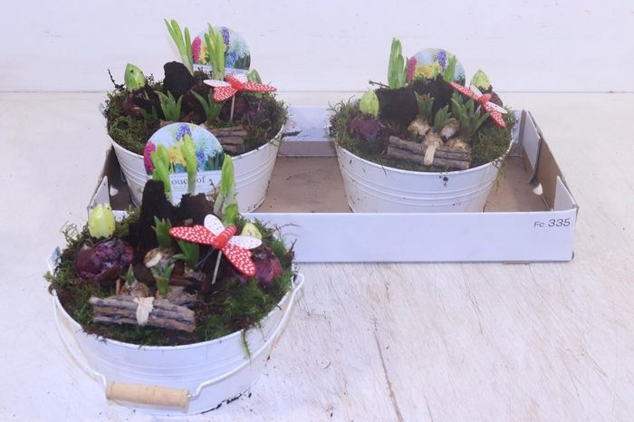 <h4>ARR BOL KNOLGEWAS</h4>