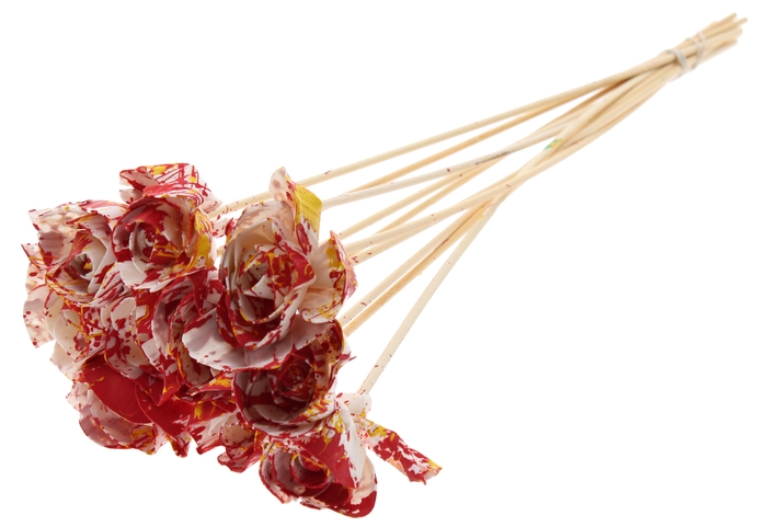Shola Dear Holly 6cm on stem Multicolour Red/Yellow