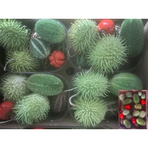 Sierfruit Bak