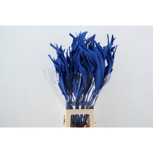 DF Strelitzia Leaf Blue