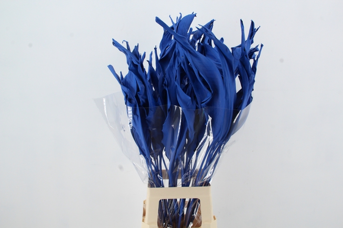 <h4>DF Strelitzia Leaf Blue</h4>