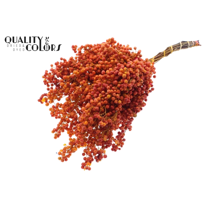 <h4>Pepperberries per bunch in poly Terracotta</h4>