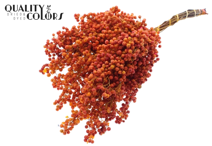 Pepperberries per bunch in poly Terracotta