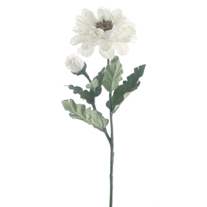 Zinnia spray eco collection white 6
