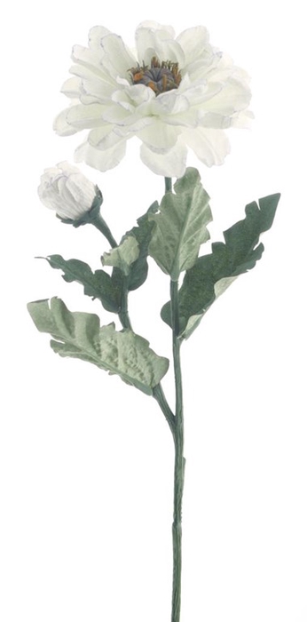 <h4>Zinnia spray eco collection white 6</h4>