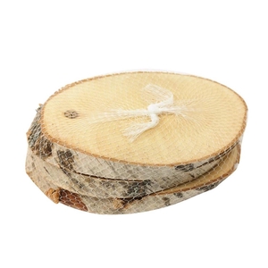 Dried articles Woodslice birch d16*10cm