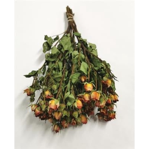 DROOG ROSES SPRAY ORANGE BS
