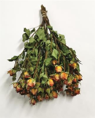 <h4>DROOG ROSES SPRAY ORANGE P.DS</h4>