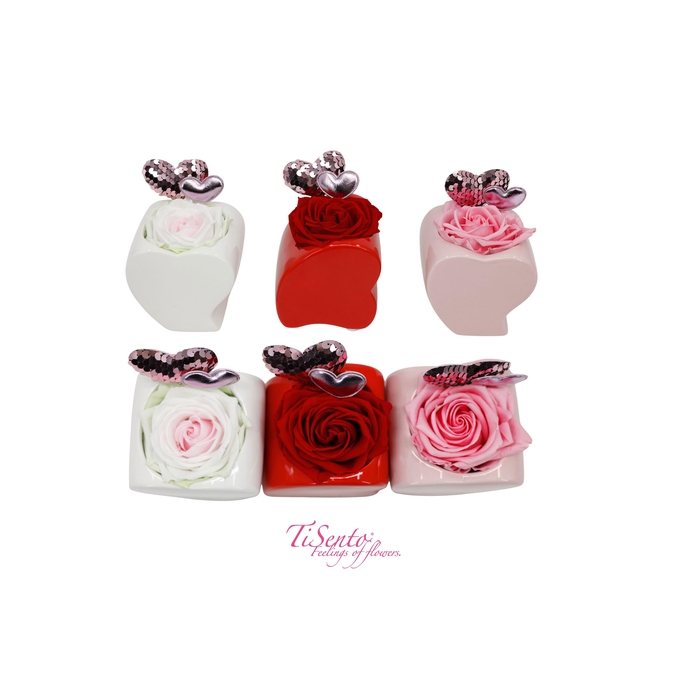 <h4>ARR ROSA POT H%</h4>