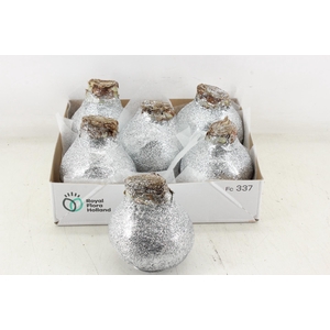 arr4 Amaryllis CM - Wax glitter zilver