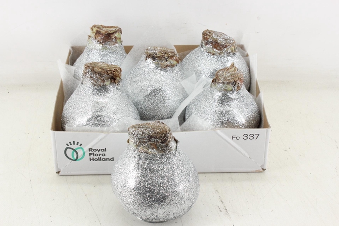 <h4>arr4 Amaryllis CM - Wax glitter zilver</h4>