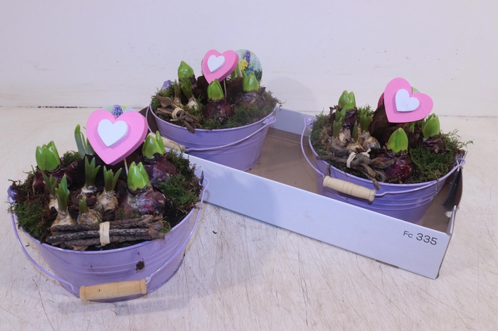 <h4>ARR BOL KNOLGEWAS</h4>