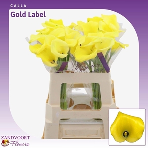 ZANT GOLD LABEL