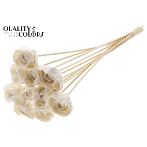 Shola Dear Holly 6cm on stem Wax White