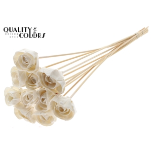 Shola Dear Holly 6cm on stem Wax White