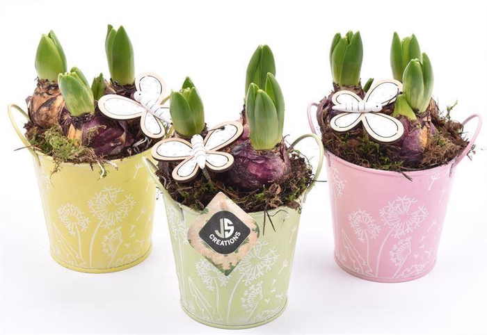 <h4>Zink emmer decor 12cm</h4>