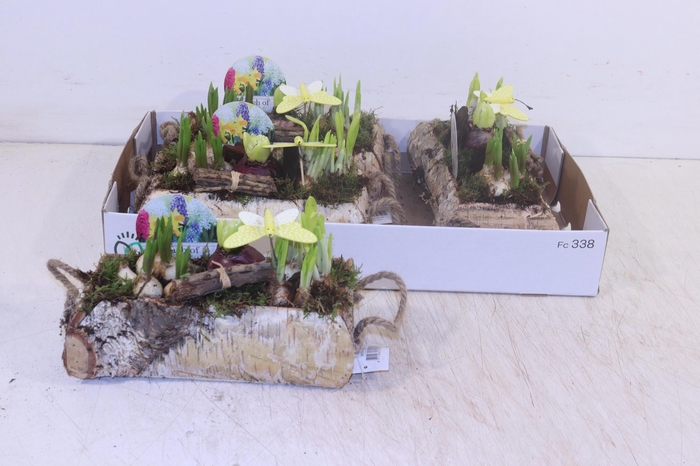 <h4>ARR BOL KNOLGEWAS</h4>