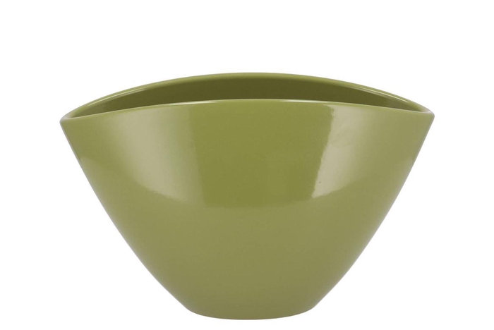Ceramic Amazone Green Pot Orchid 28x17cm Nm