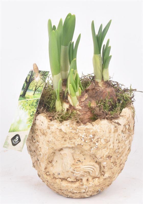 <h4>Cement ei kip decor 11cm</h4>