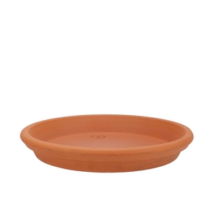 Terracotta Waterdish D25xh4cm