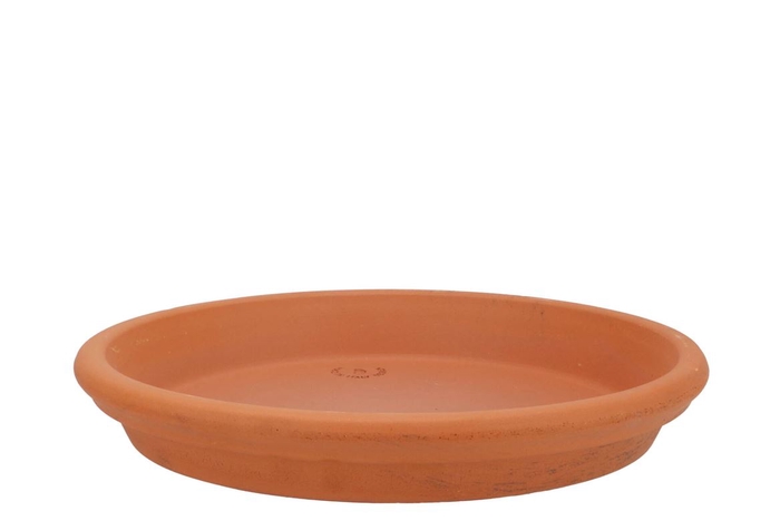 Terracotta Waterdish D25xh4cm Nm