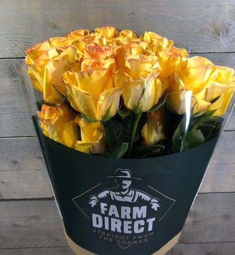 <h4>R GR DEJA VU</h4>