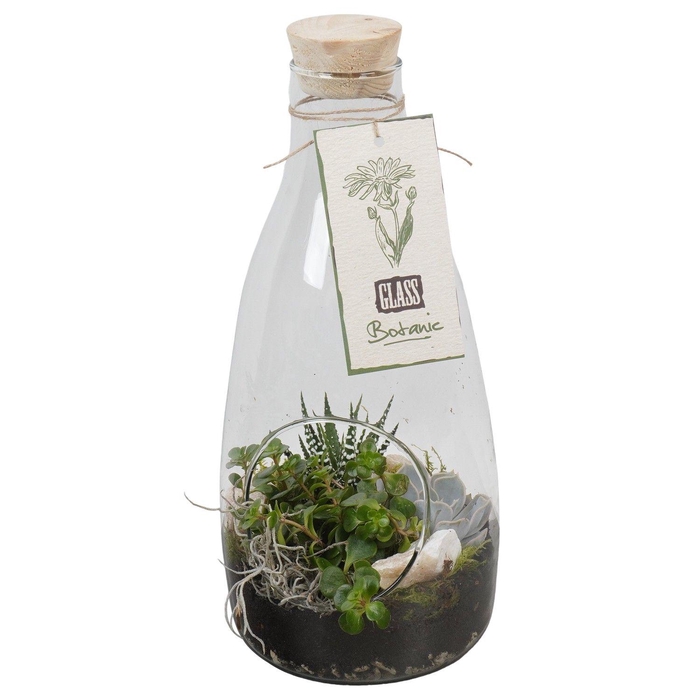 <h4>PTGIG2143 Arrangement Greens in glass in glazen fles</h4>