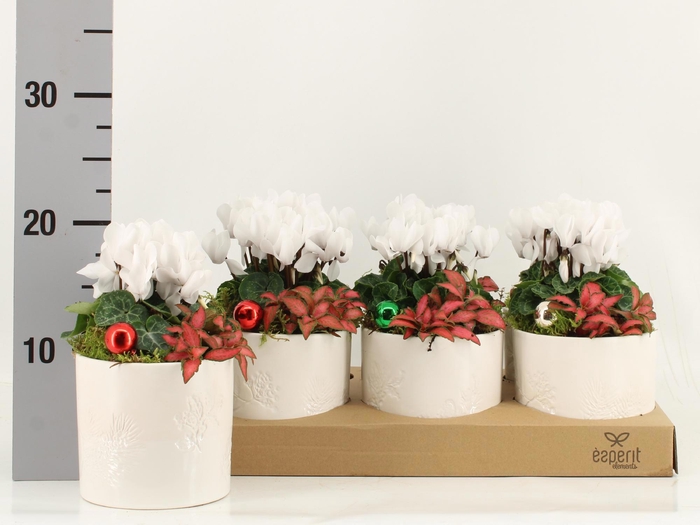 <h4>ARR KAMERPL</h4>