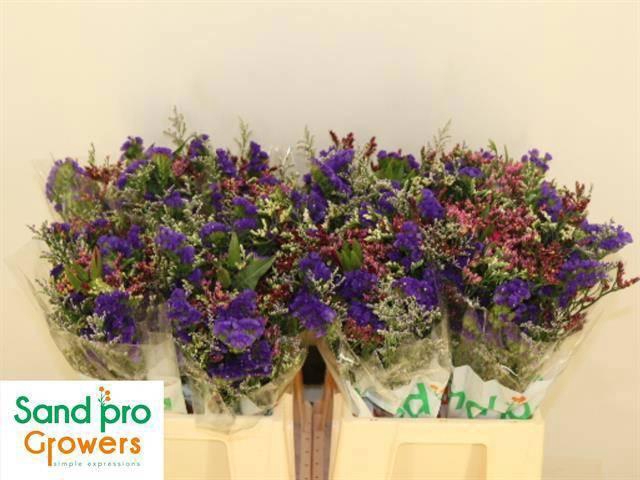 <h4>GEM ZOMERBOEKET</h4>