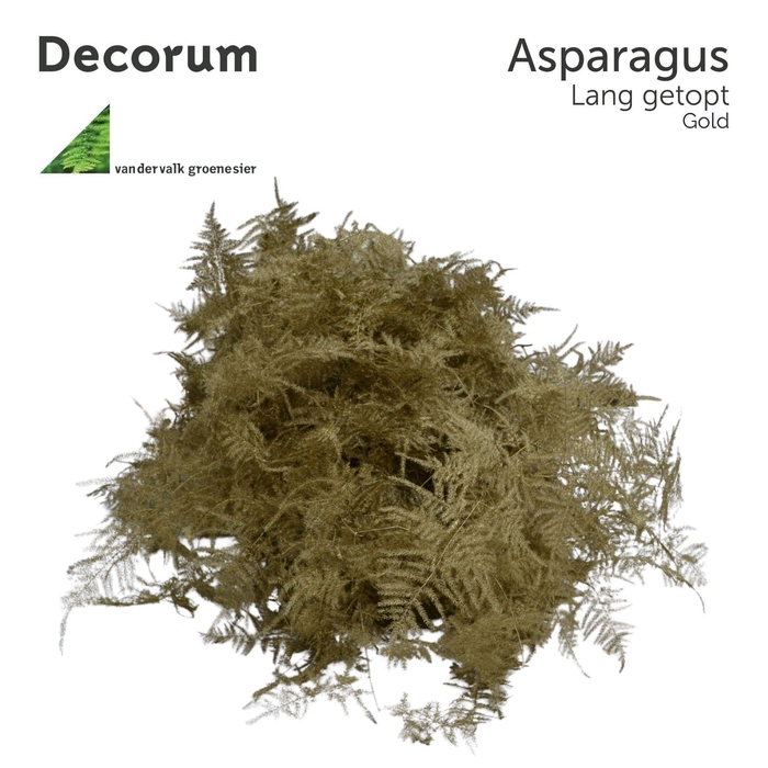 <h4>Asp lang getopt Gold Box</h4>