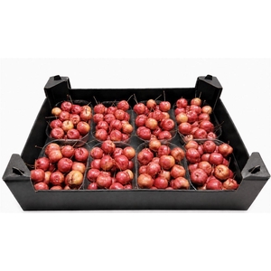 WAX APPEL H%