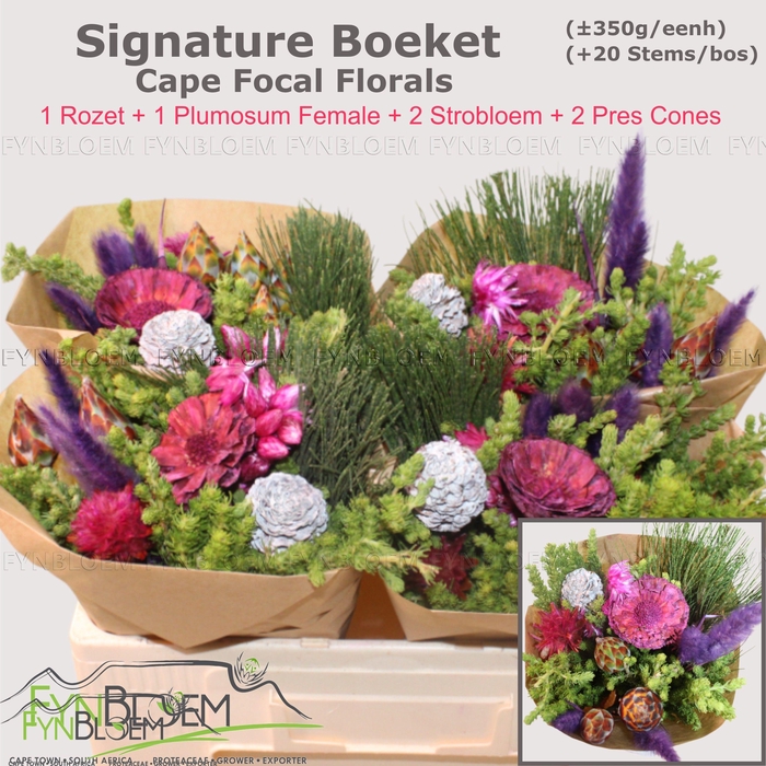 <h4>KAAPS GROE GEM IN BS</h4>