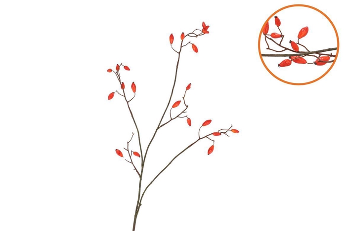 <h4>Silk Rosebottle Orange 93cm</h4>
