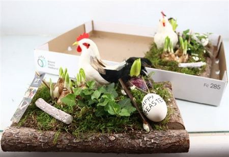 <h4>ARR TUINPLANTEN</h4>