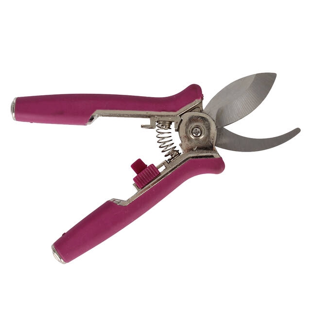 <h4>Mini pruner kleintje knip</h4>