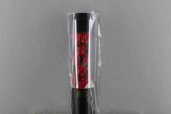 <h4>Led-rozen Rood H%</h4>